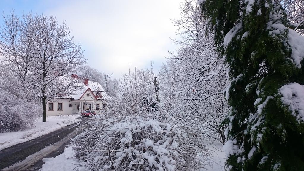 Dwor Osmolice Panzió Bialki Dolne Kültér fotó