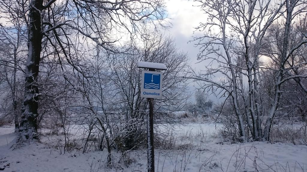 Dwor Osmolice Panzió Bialki Dolne Kültér fotó